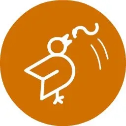 NoCodeCardsImage